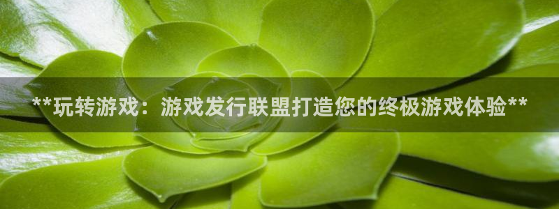 新宝gg奇迹登录怎么登录不了：**玩转游戏：游戏发行联盟打造您的终极游戏体验**