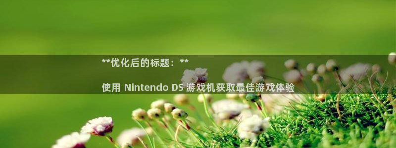 新宝gg创造奇迹官方登录：**优化后的标题：**

使用 Nintendo DS 游戏机获取最佳游戏体验