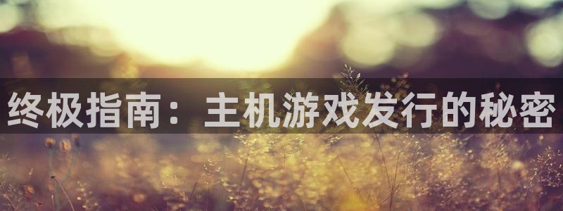 新宝gg娱乐创造奇迹登录官网：终极指南：主机游戏发行的秘密