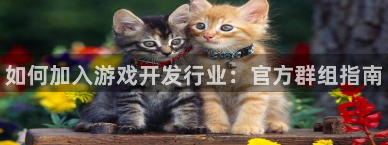 新宝gg创造奇迹登录注册入口：如何加入游戏开发行业：官方群组指南