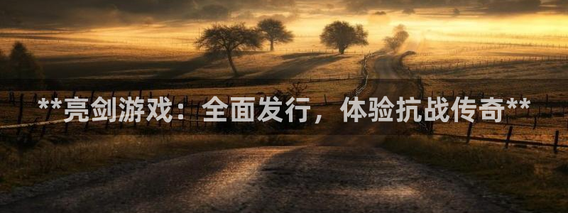 新宝gg创造奇迹平台：**亮剑游戏：全面发行，体验抗战传奇**