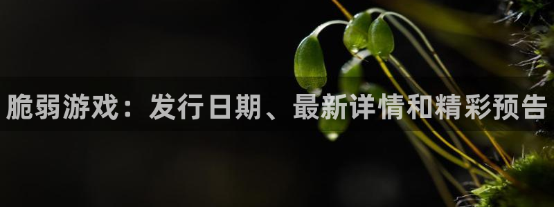 新宝gg创造奇迹平台登录入口：脆弱游戏：发行日期、最新详情和精彩预告