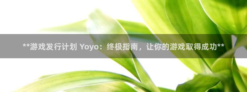 新宝gg平台—创造奇迹赌博：**游戏发行计划 Yoyo：终极指南，让你的游戏取得成功**