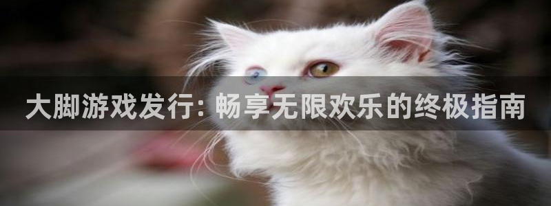 新宝gg案件：大脚游戏发行: 畅享无限欢乐的终极指南