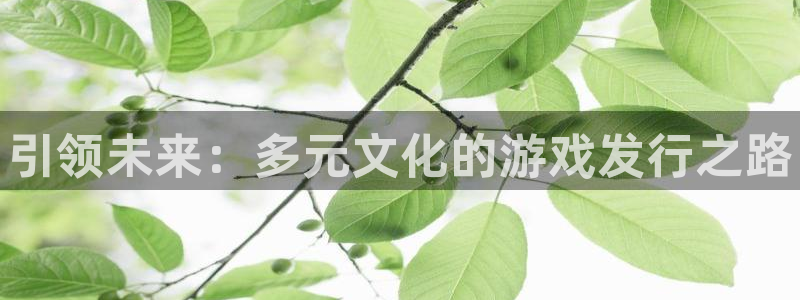 新宝gg平台—创造奇迹登录首页