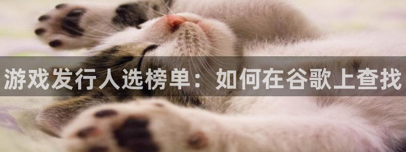新宝gg官网登录找代理：游戏发行人选榜单：如何在谷歌上查找