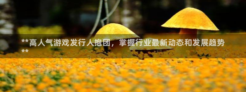 新宝gg怎么登录不上去了了：**高人气游戏发行人抱团，掌握行业最新动态和发展趋势
**