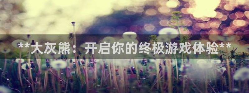 新宝gg提现不到账了?：**大灰熊：开启你的终极游戏体验**