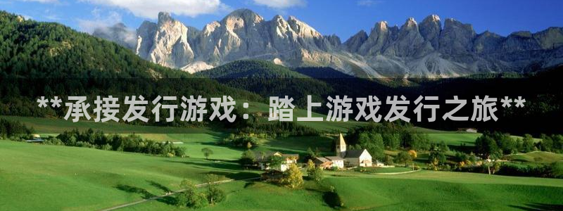 新宝gg手机版登录官网：**承接发行游戏：踏上游戏发行之旅**