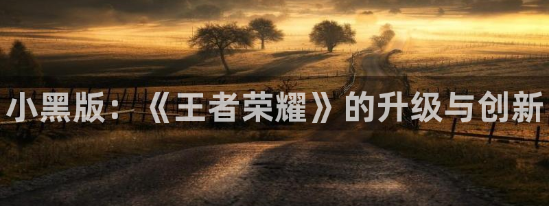 新宝gg平台：小黑版：《王者荣耀》的升级与创新