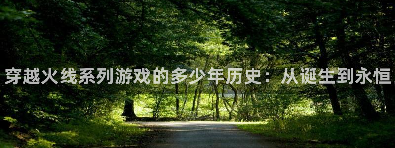 新宝GG平台负责人