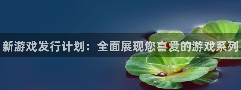 新宝gg6 创造奇迹：新游戏发行计划：全面展现您喜爱的游戏系列
