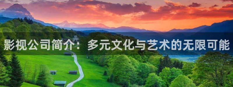 777米奇影院欧美**：影视公司简介：多元文化与艺术的无限可能