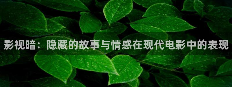米奇影院99：影视暗：隐藏的故事与情感在现代电影中的表现