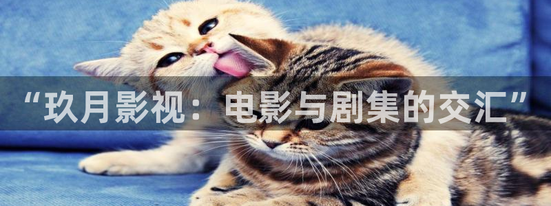 www.777米奇影院：“玖月影视：电影与剧集的交汇”